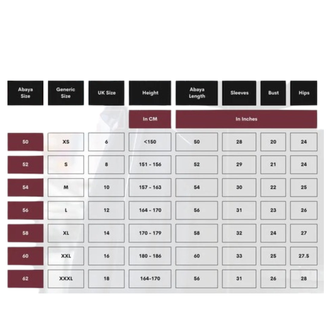 Pack of 3 Premium Georgette Abaya with Stoles All Sizes Available l Article 3286